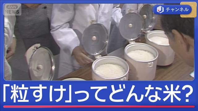 最高級“特A”のコメでお得なものは？