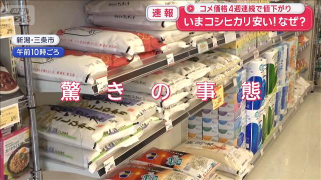いまコシヒカリが安い！なぜ？　コメ価格4週連続で値下がり