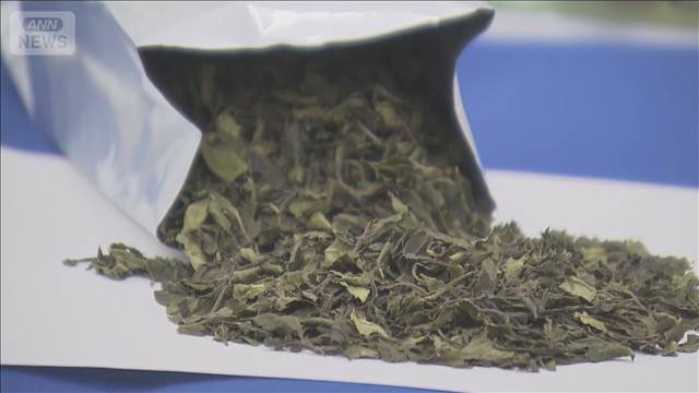 違法薬物含む「カート」　国内で初押収