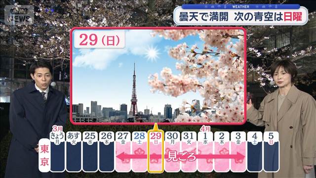 【関東の天気】連日雨予報　開花を促す春の雨　日差したっぷり　洗濯はあす！