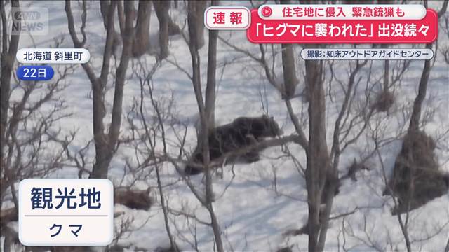 クマ猟師“丸腰状態で7年”駆除に「違法」最高裁判断は？