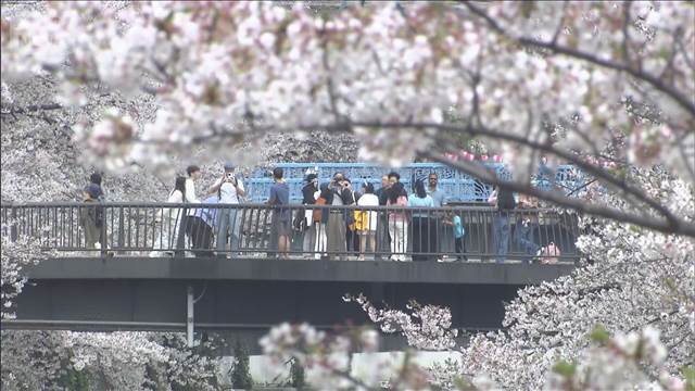 関東などで夏日続出か　天気回復し気温上昇　急な暑さに注意