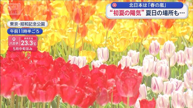 “初夏の陽気”夏日の場所も…　北日本は「春の嵐」
