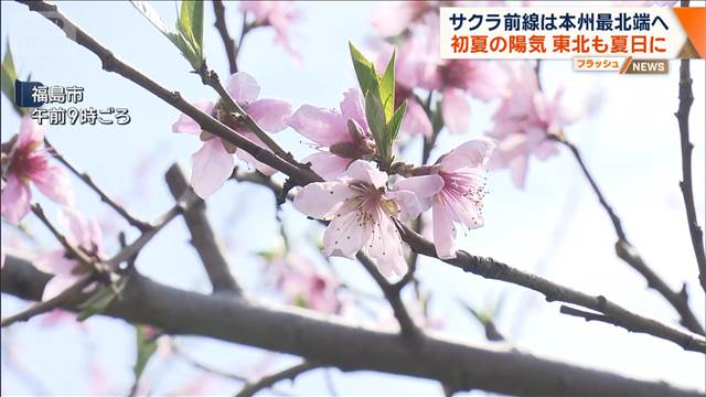 サクラ前線は本州最北端へ　初夏の陽気 東北も夏日に