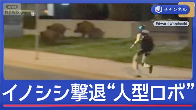 住宅街にイノシシ　追い払ったのは「人型ロボット」　画期的と思いきや賛否