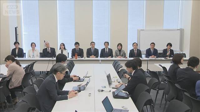 【独自】再審見直し議論は連休明けまで持ち越しに　自民反対派11人が会見