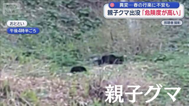 専門家「危険度が高い」“親子クマ”要注意のワケ