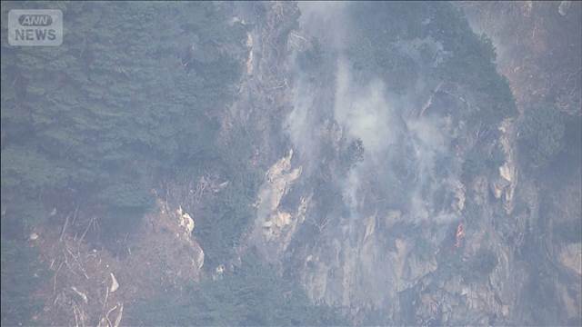 延焼続く岩手・大槌町の山火事　消火活動は難航…街の中心地にも“降灰”