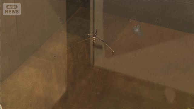 北海道で最大震度5強 1人けが　博物館のガラス割れるなど被害も