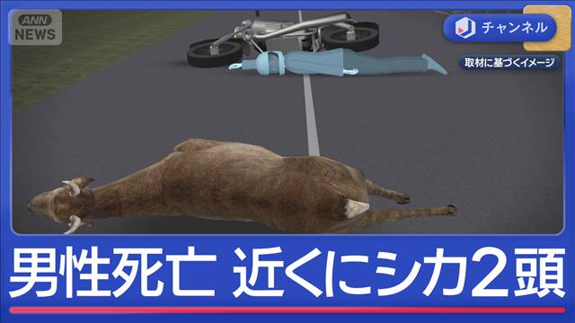 “倒れていた男性”死亡…近くに2頭のシカ“ひき逃げ”か