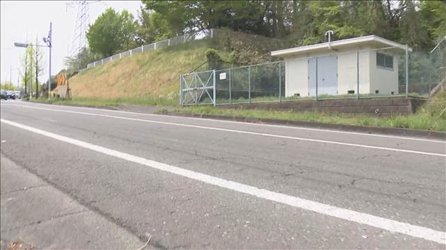 市道でクマと軽乗用車が衝突 けが人なし 仙台・泉区