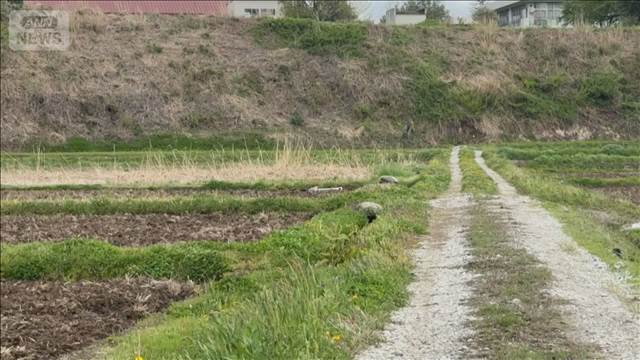 クマに遭遇 男性襲われ顔や腕にけが　田んぼの見回りで…