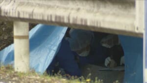 000503213_640