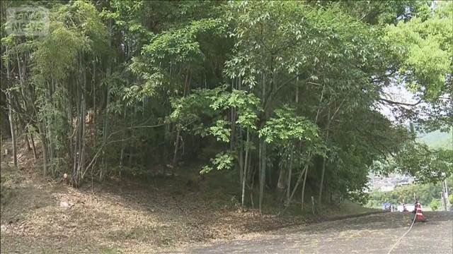 各地でクマの目撃相次ぐ 大学敷地内や市街地にも 広島市では臨時休校も