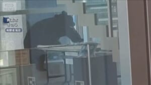 000505504_640