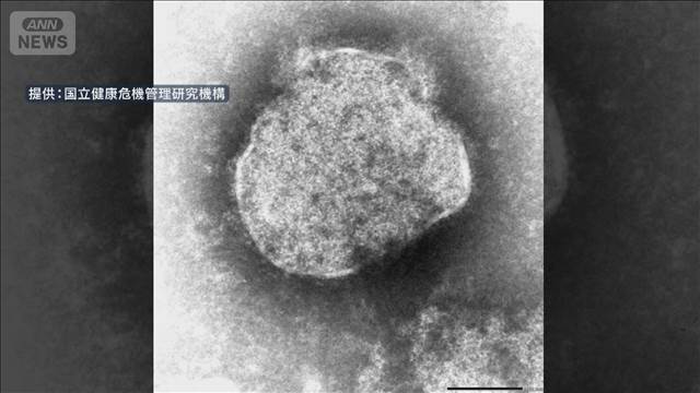 はしか感染者“去年の4倍”今年に入り479人　厚労省がワクチン接種呼びかけ