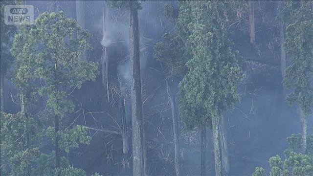 三重で山林火災　自衛隊も消火活動　22時間以上経過も鎮火せず