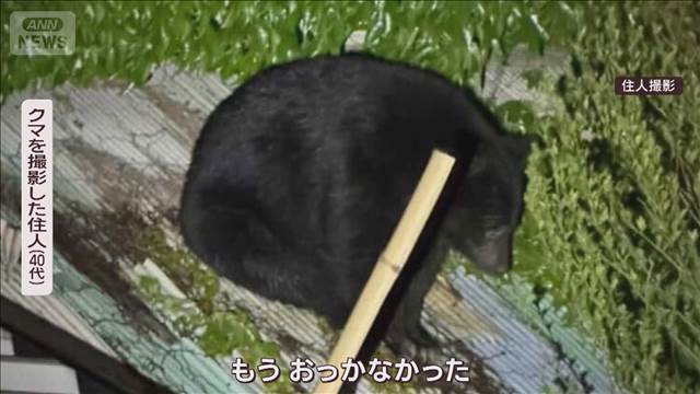 飼い主証言 クマがネコを「食べていた」 “屋根クマ”6時間半＆「子グマが飛んだ」