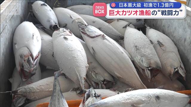“戦闘力”アップした巨大カツオ漁船　自動一本釣り・冷凍庫26個で日本最大級の水揚げ