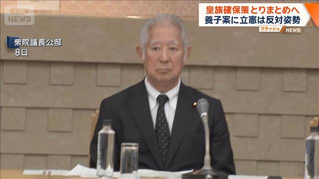 皇族確保策とりまとめへ　養子案に立憲は反対姿勢