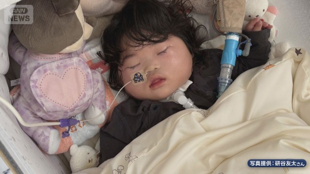 判決は？妊婦はねられ死亡「赤ちゃんも被害者」