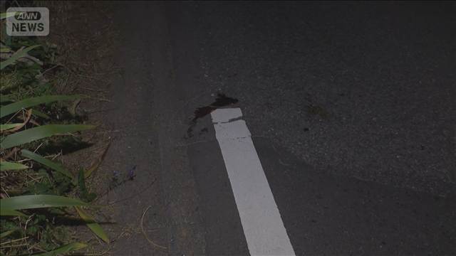 ひき逃げか…逮捕の男から基準値超アルコール検出　80代女性が死亡　茨城・筑西市