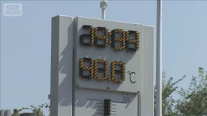 000520715_640