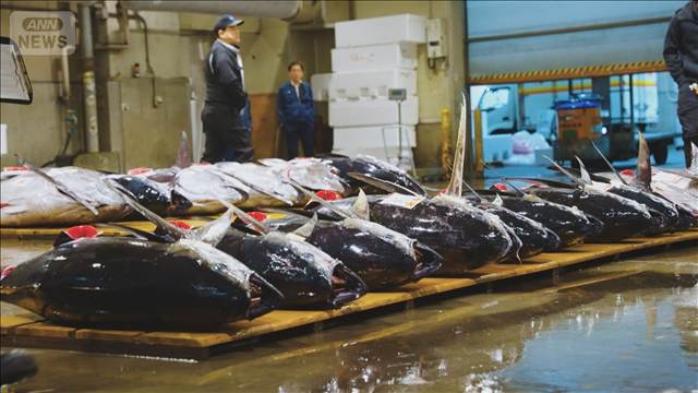 クロマグロ増枠に前進　メキシコが一転して賛同　臨時の合同作業部会開催へ調整