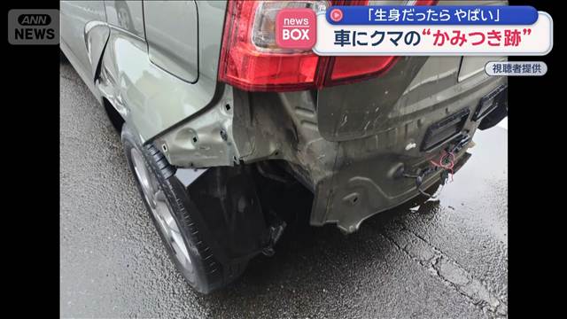 車にクマの“かみつき跡”　「生身だったらやばい」　走行中にクマが衝突