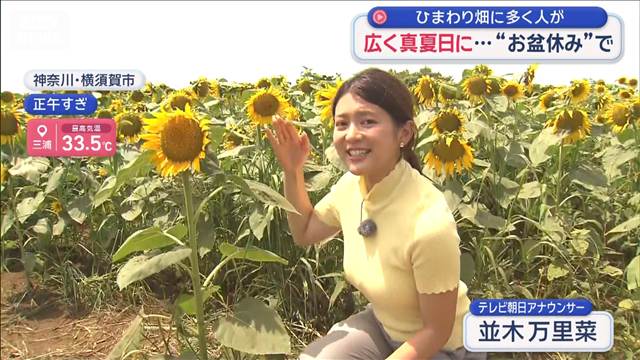 広く真夏日…“お盆休み”観光地に多くの人　クマ牧場にひまわり畑に
