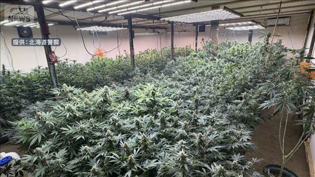 倉庫で1億円相当の大麻栽培　2人逮捕　北海道・日高町