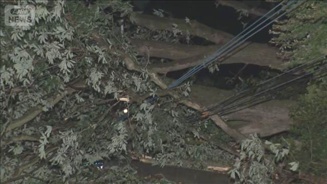 台風初上陸の茨城 3人けが　倒木相次ぎ運転見合わせも