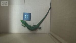 000525724_640
