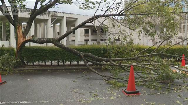 台風15号が熱帯低気圧に　新たに台風17号発生 来週にかけ日本の東を北上か