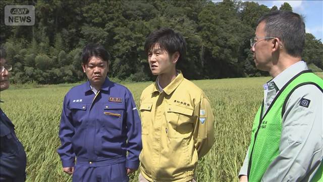 千葉豪雨　農水大臣　被災水田など視察　農作物に被害「心折れそう」