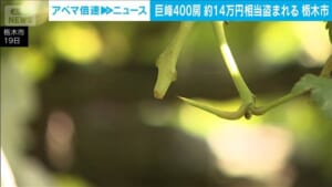 000527371_640
