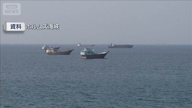 ホルムズ海峡 南側航路を通過のタンカー増加　イラン監視力低下　米軍展開も