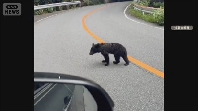 3000円引き上げの出国税　クマ対策の財源に活用　特定外来生物の対策にも要求予定