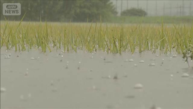 大雨被害の富山・氷見市　一部地域で孤立状態続く