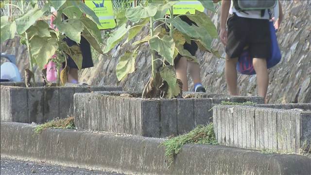 製菓店の店主殺害事件　容疑者足取りつかめず…警戒続く　見守り登校も　山口・美祢市
