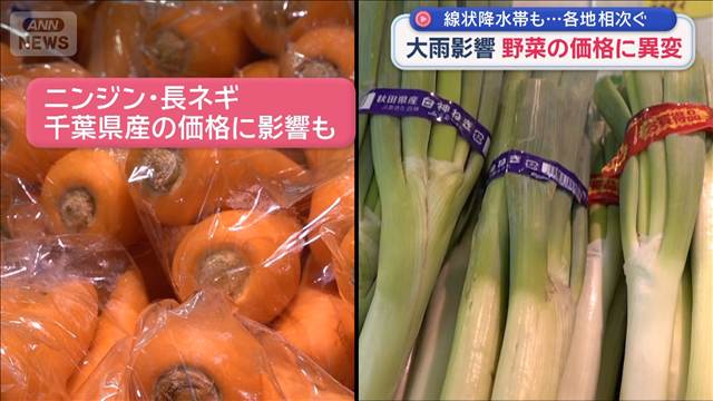 大雨の影響　畑が冠水・ひび割れ被害も　野菜の価格に異変　