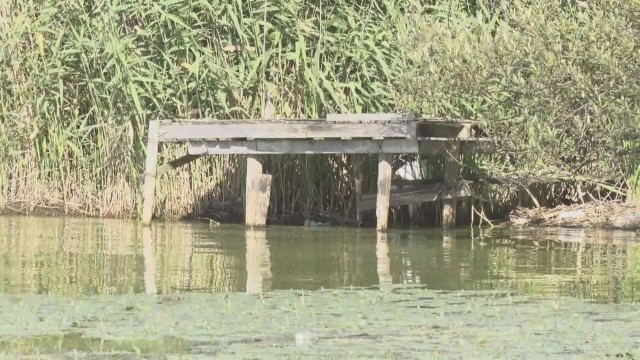 諏訪湖に“謎の台座”大量出現　誰が？何のために？　不安の声も