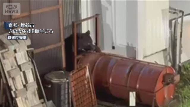 クマ2頭が住宅の軒下に　府内初の緊急銃猟　京都・舞鶴市