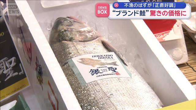 サケ不漁のはずが“驚き価格”　「正直好調」ブランド鮭は…？