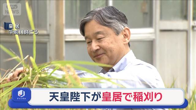 天皇陛下が皇居で稲刈り