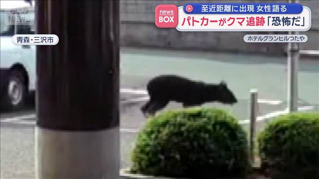 至近距離に出現　男性語る　パトカーがクマ追跡「恐怖だ」　青森・三沢市