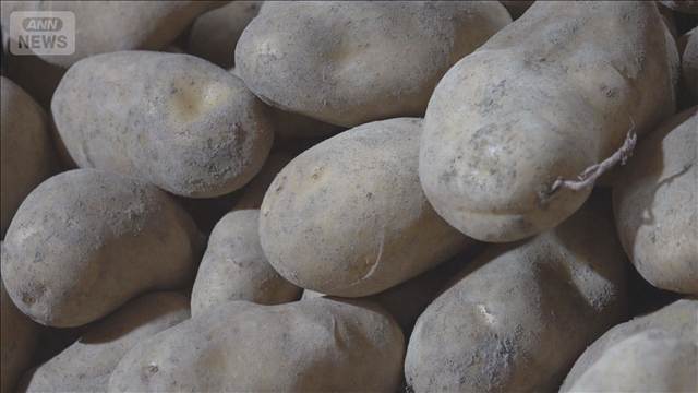 米国産ジャガイモ輸入めぐり　懸念相次ぐ