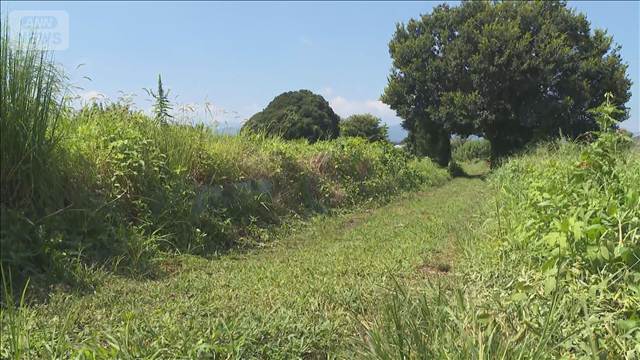 相模原市男子高校生死亡 少年4人を殺人容疑で再逮捕