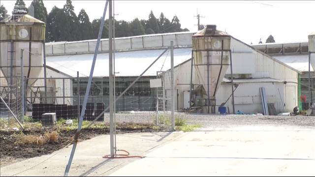 豚舎で豚の下敷きに　従業員が死亡　鹿児島・曽於市