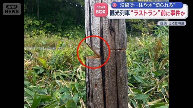 沿線で柱や木“切られる”　観光列車“ラストラン”前に事件か